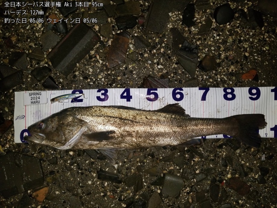 95cm
